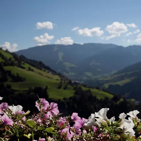 Chalet In Sankt Johann Near Ski Lift Apartment Wagrain