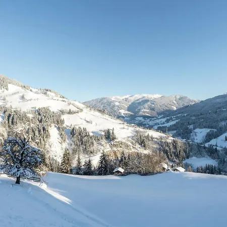 Apartment Chalet In Sankt Johann Near Ski Lift Wagrain