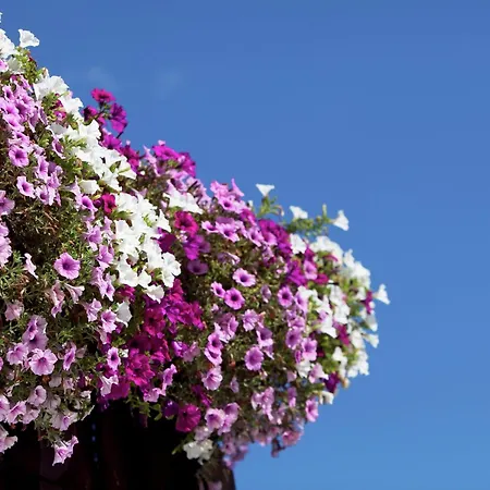 Chalet In Sankt Johann Near Ski Lift *