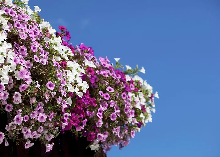 In Sankt Johann Near Lift *